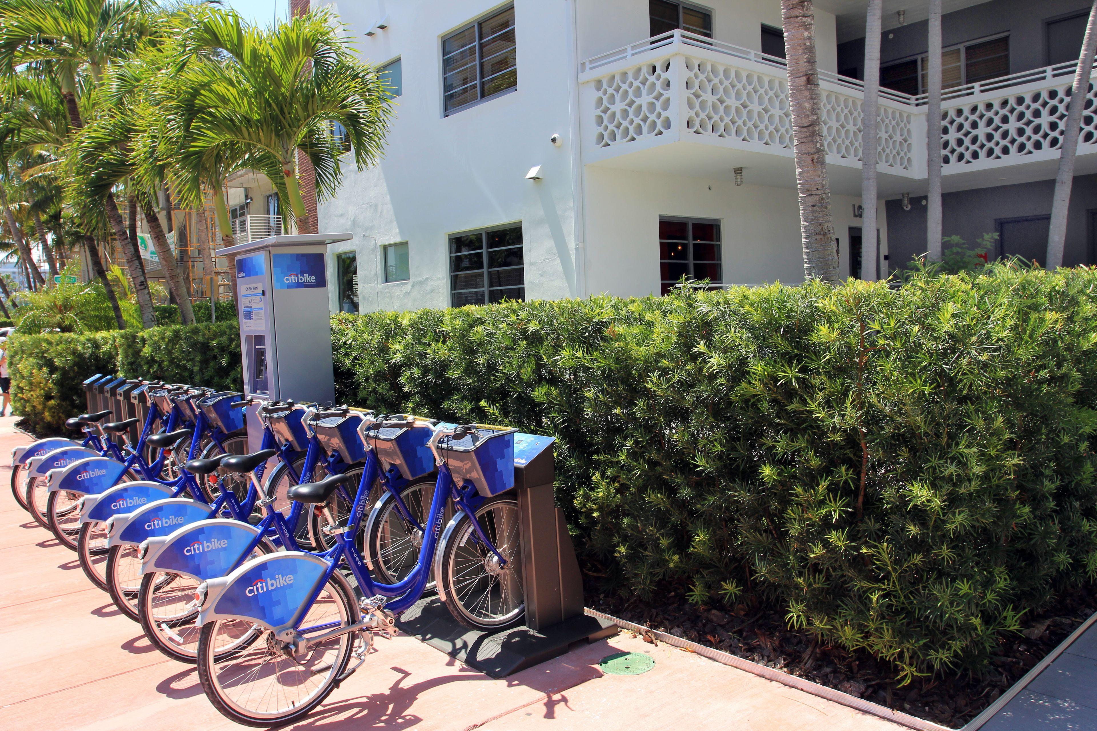 Hotel Gaythering - Gay Hotel - All Adults Welcome, Miami Beach